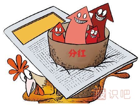 什么是股票的分紅-上市公司是怎么分紅的