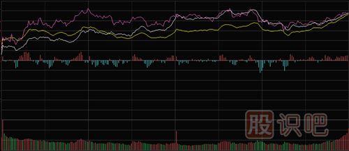 怎樣看<a href=http://m.srlcfj.com/GPRM/sy/1798.html target=_blank class=infotextkey>大盤</a>和股票的分時走勢圖